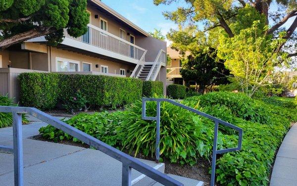 Harvard Studio Apartments