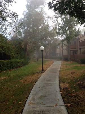 Westridge Apartment Homes