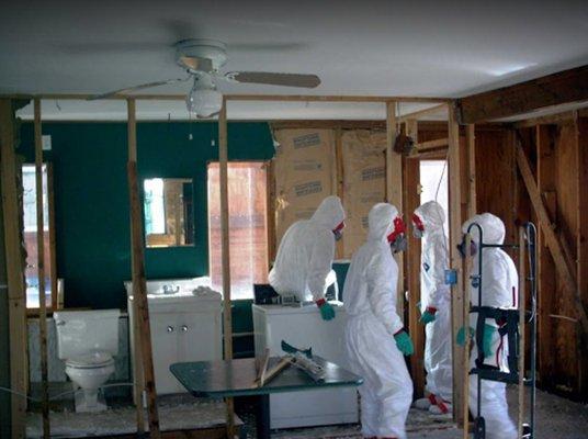 AmeriDri Restoration