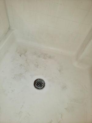 LV Steam Sanitation Services