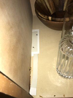 Desert Crown Apartments