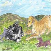 Catskill Mountain Bed N Biscuit