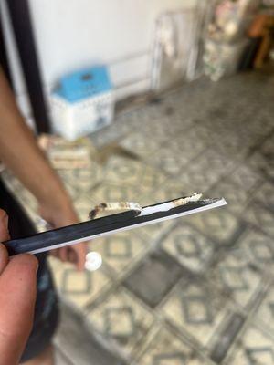 The melted strip. Worst service ever!