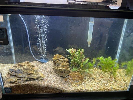 Aquatic Zoo Tropical Fish