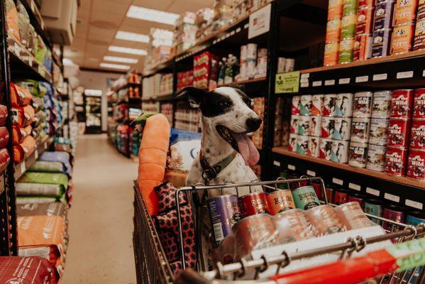 Ganado Feed & Pet Supplies