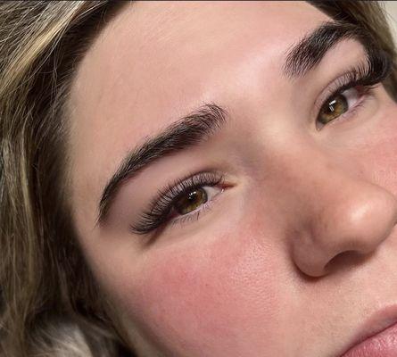 Light Volume -- Lash Extensions