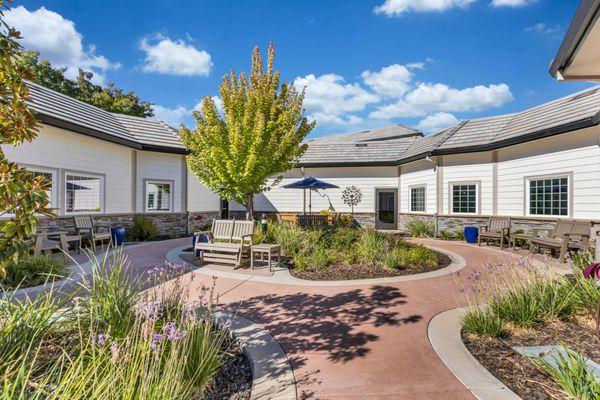 ACC Maple Tree Village