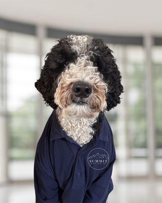 Summit Moving Company