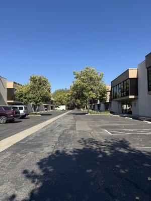 Laura Polacco Wellness