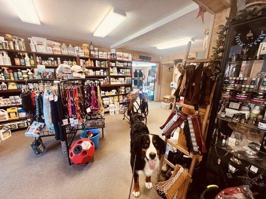 Lake Mathews Feed & Pet Supply