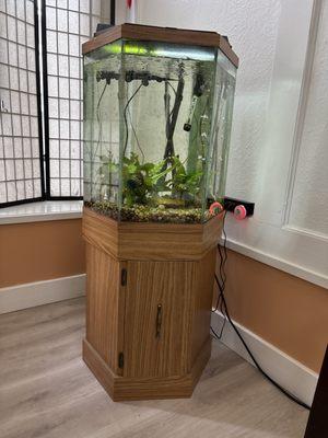 Greenwood Family Dental Clinic