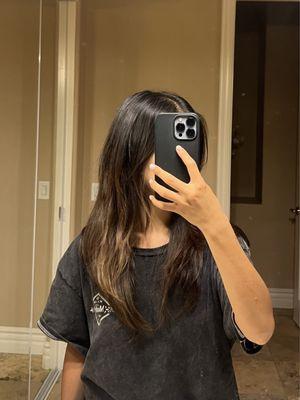 $45 haircut (no washing or styling, very rushed)