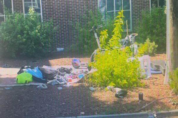Front yard