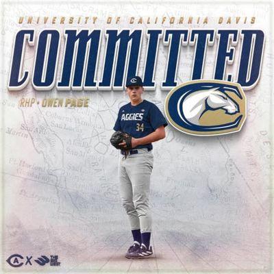 Golden Spikes Baseball