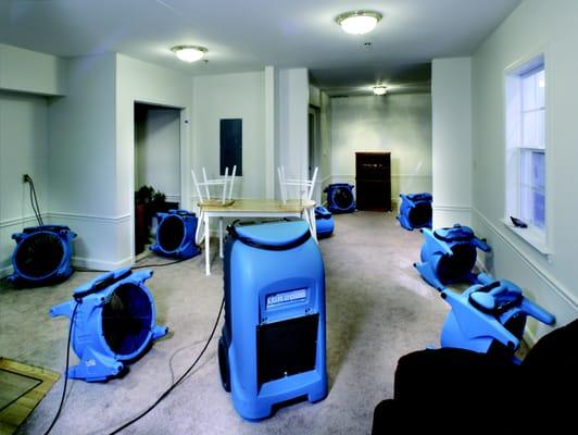 Water Damage, Mold Removal, Fire Clean-up