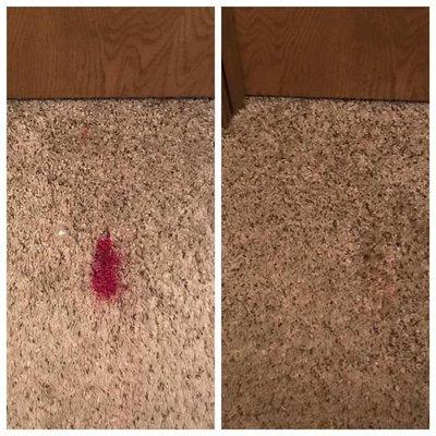 Kung Fu Carpets and Cleaning