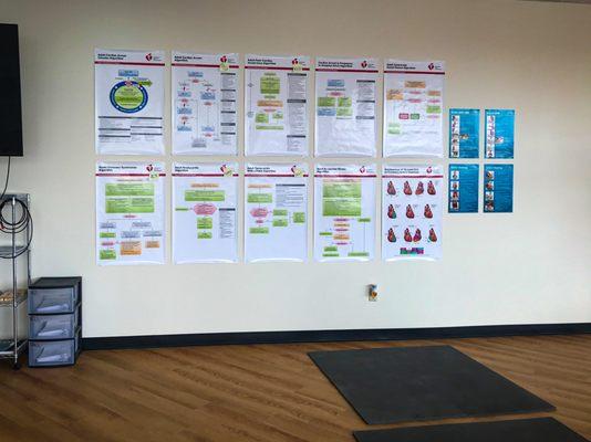 Our wall of information. BLS, ACLS and PALS posters.