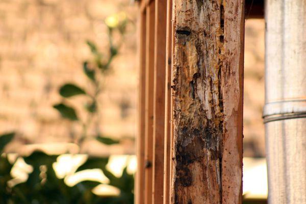 Elite Construction and Remodel Corp