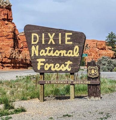 At Dixie National Forest