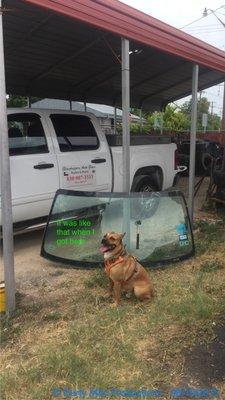 The ceo hard at work as usual.