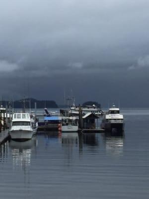 Whale watching tour!