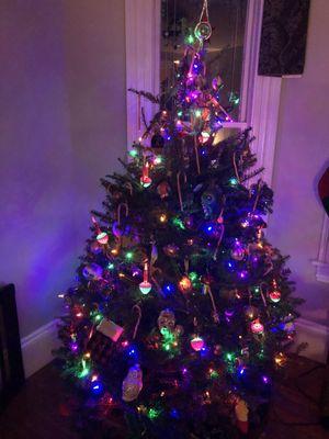 Delahunty Garden & Landscape Center