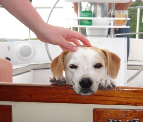 Hinckley on Simplicity Charters