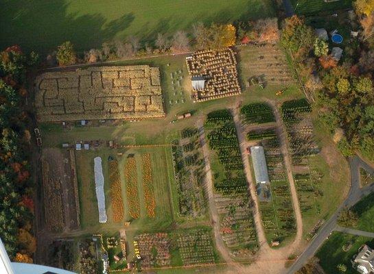 Photo credit: www.pell-farms.com