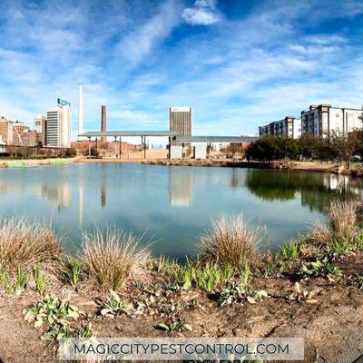 Magic City Pest Control