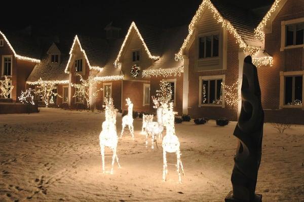The Christmas Light Pros