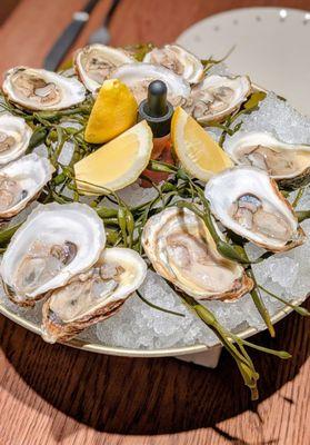Dozen oysters