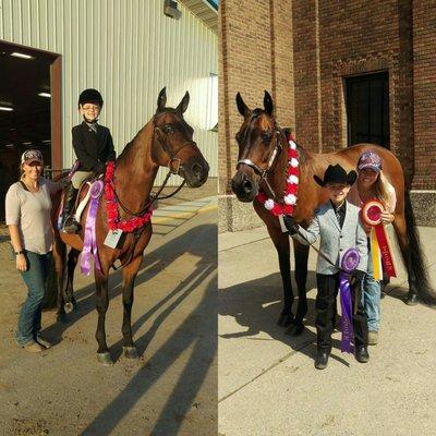 Walk Trot and Showmanship