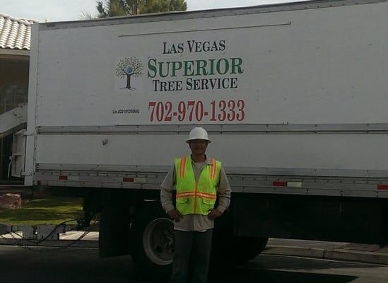 Las Vegas Superior Tree Service