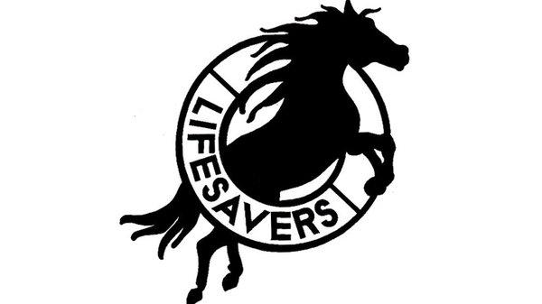 Lifesavers Wild Horse Rescue