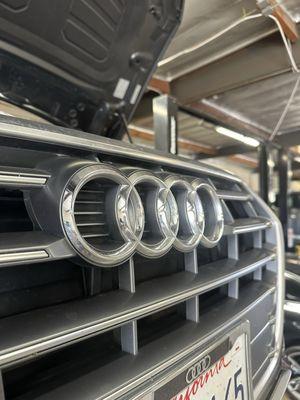 Euro M Tech Transmissions