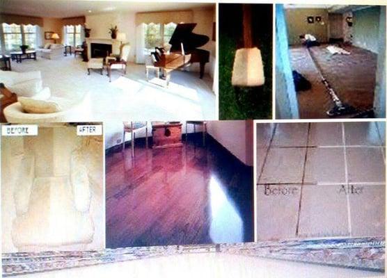 Immaculate Carpet Cleaning & Restoration Service