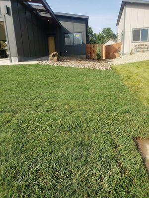 NoCo Landscapes and Irrigation