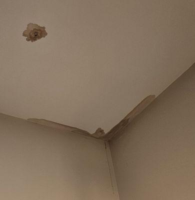 More damage to my bathroom ceiling