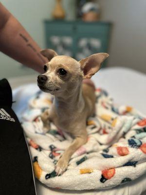 Light and Life Chiropractic Center