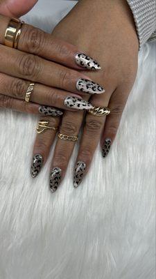 A gel x stiletto set with a cheetah print cateye
