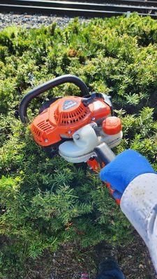 Sunflower Lawn Care & Home Improvement