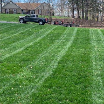 Detailed Lawn & Landscaping