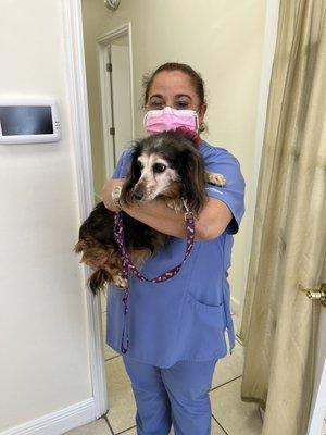 Bird Road Veterinary Clinic