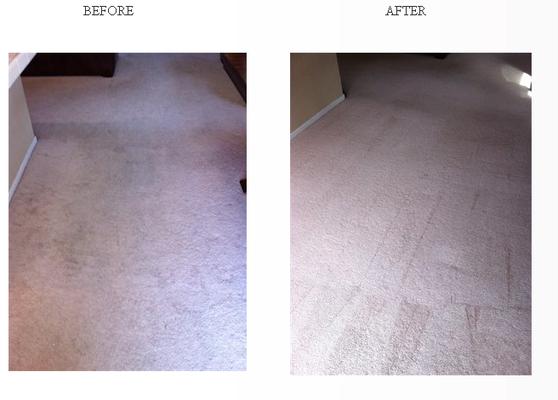 Super Steam Carpet Cleaning