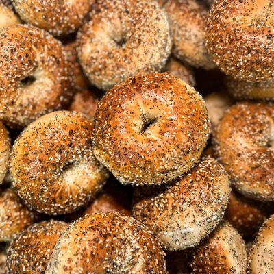 everything bagel