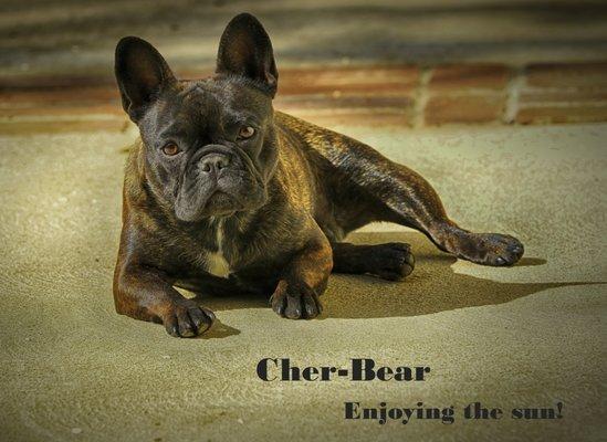 To be added to the front of her Casket. We already miss her so much.