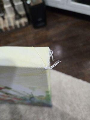 Torn corner of the canvas