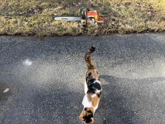 Rocky's Ace Hardware