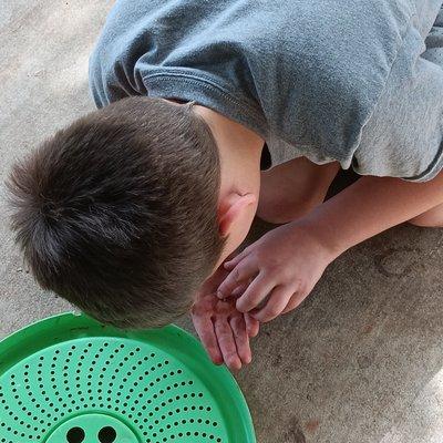Boy plays with a roly poly.