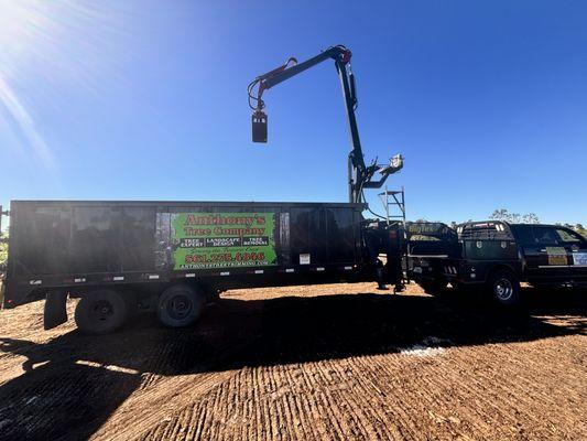Anthonys Tree Trimming